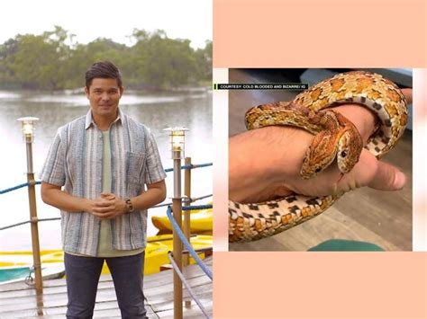 Amazing Earth: Ang kuwento ng two-headed snake | GMA Entertainment