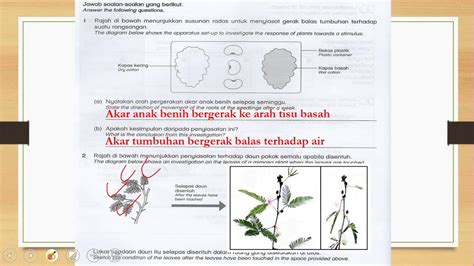 Sains Tahun Skema Jawapan Youtube