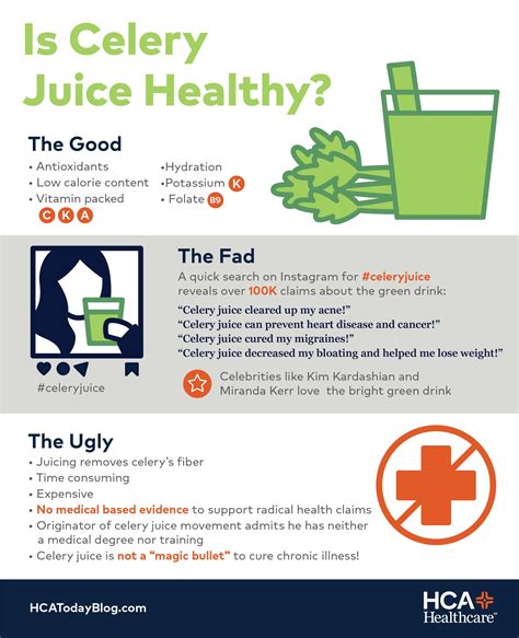 Celery Juice Nyc at Brianna Fornachon blog