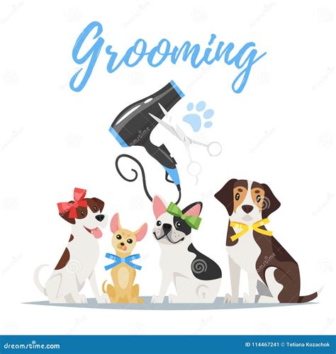 Dog Grooming Royalty Free Stock Photography 39839777