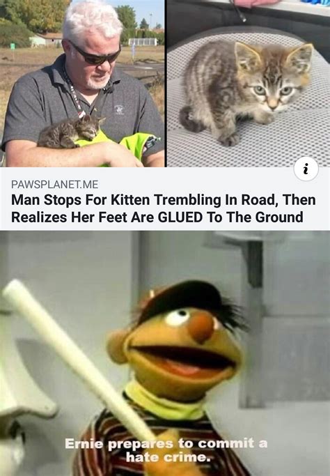 Wake The Fuck Up Samurai We Have A City To Burn R Dankmemes