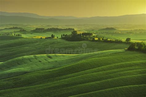 Molla Della Toscana Rolling Hills Sul Tramonto Nebbioso Paesaggio