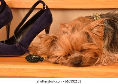 Unrecognizable Naked Woman Lying Finnish Sauna Stock Photo 1099792715 Shutterstock