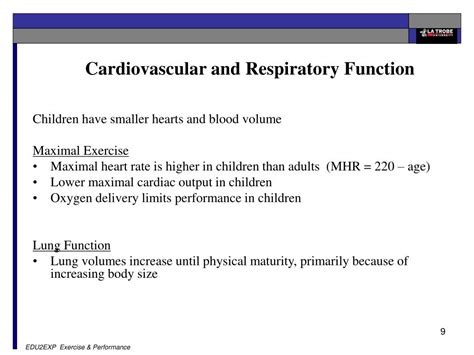 Ppt Age And Sex Considerations In Sport And Exercise Powerpoint Presentation Id