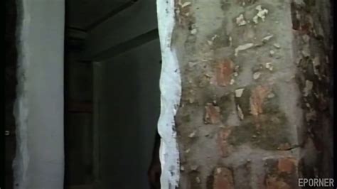 Brunette Fucked Hard In The Barn