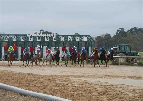 Oaklawn race track | Drink - Play - Love