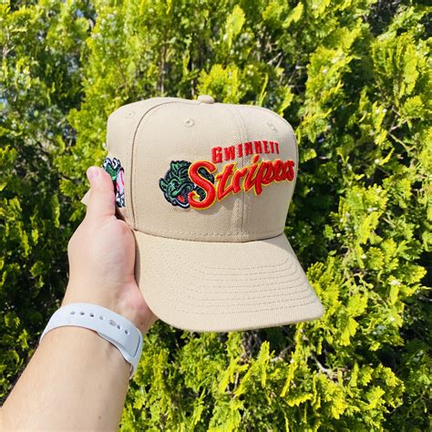 Families visit the gwinnett jail online for inmate information 17