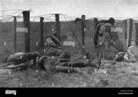 Dead Soldiers On The Wire On The Eastern Front Russia Ww1 Stock Photo