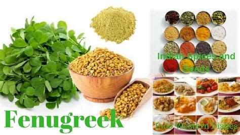 Health Benefits Of Sprouted Fenugreek Seeds