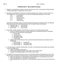Sex Linked Traits Worksheet Genetics Practice