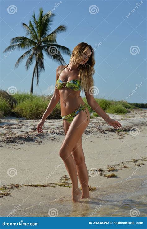 Bikini Model Posing In Front Of Palm Tree Stock Image Image Of Swimsuit Bikini