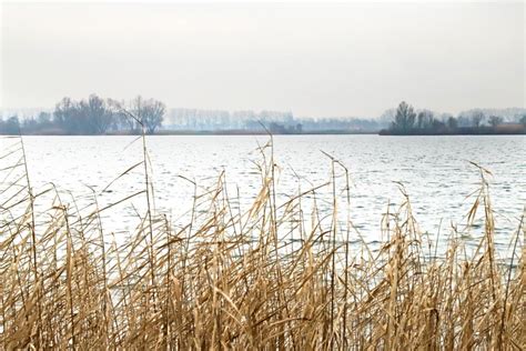 Wandeling Rijkerswoerdse Plassen bij Arnhem