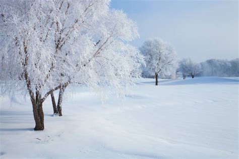 8,800+ Minnesota Winter Stock Photos, Pictures & Royalty-Free Images ...