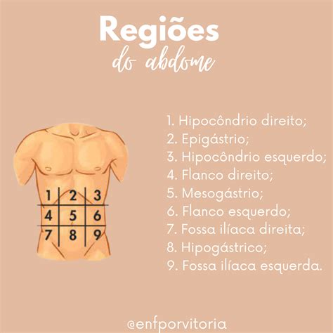 Abdômen Onde Fica - 4 Regiões Do Abdômen