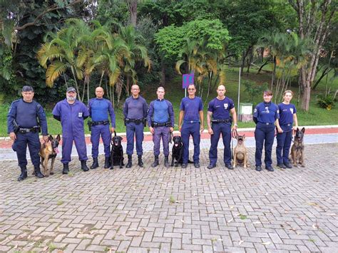 Guarda Municipal realiza treinamento cães de guarda em Louveira