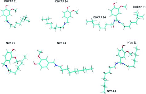 The Selected Low Energy Conformers Of Dhcap And Nva And Their