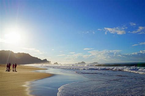 Menikmati Keindahan Pantai Sukamade Surga Tersembunyi Di Banyuwangi