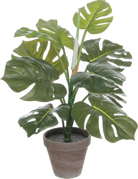 MICA Decorations Philodendron Green 50 Amazon Co Uk Home Kitchen