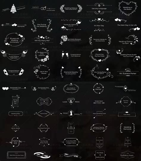 Fcpx插件 55个浪漫婚礼爱情文字标题动画 第12季