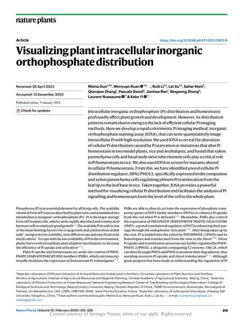 Visualizing Plant Intracellular Inorganic Orthophosphate Distribution