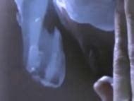 Naked Francesca Cuttica In Paura D