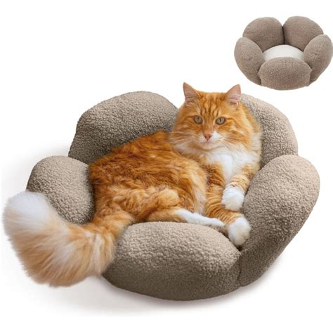 Cat Beds Free Shipping Chewy