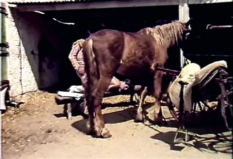 L Amore E La Bestia Free Porn Video B Xhamster