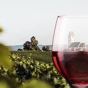 Магазин ШтофМаркет: купить вино и алкоголь. Интернет-сайт