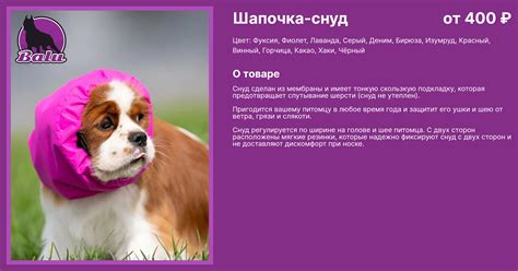 Купить Шапочка-снуд для собак в Красноярске по цене от 400 ₽ - Интернет ...