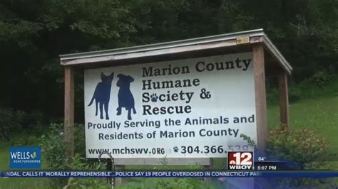 Marion County Humane Society prepares for "Clear The Shelter" adoption ...