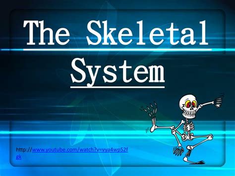Ppt The Skeletal System Powerpoint Presentation Free Download Id