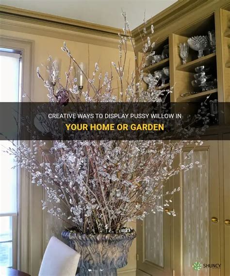 Creative Ways To Display Pussy Willow In Your Home Or Garden Shuncy