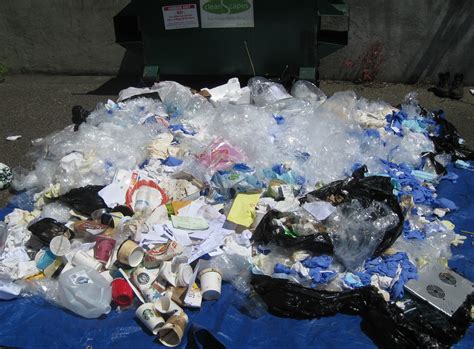 Dental Waste What You Need To Know Imagination Waffle
