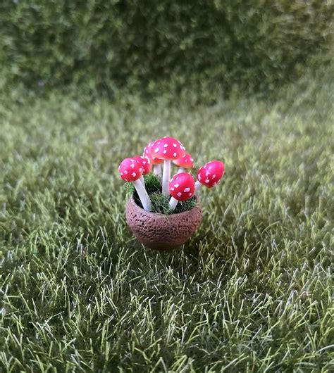 Мини растения и цветы: Мухоморы в горшках в интернет-магазине Ярмарка ...