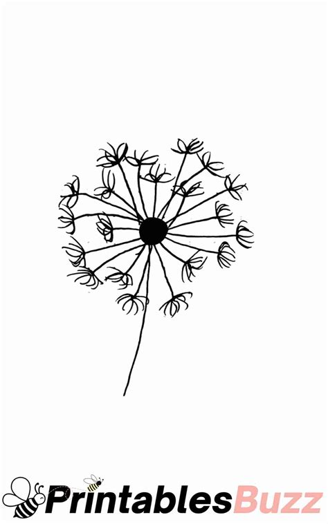 dandelion drawing 5