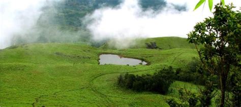 8 Trekking Places in Wayanad, Wayanad Trekking Places - Treebo