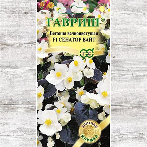 Бегония Сенатор Вайт F Гавриш (71133): купить семена почтой в России ...
