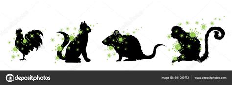 Conjunto Silueta Vectorial Diferentes Bacterias Propagación Animal