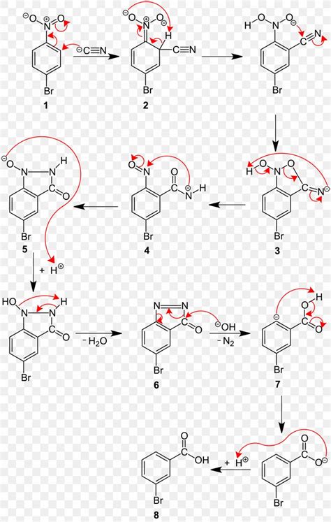 Von Richter Reaction Chemical Reaction Name Reaction Organic Chemistry Cyanide, PNG, 1200x1895px ...