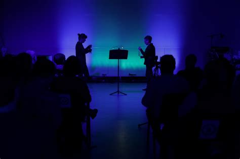 Acoustic Fields Tania Rubio