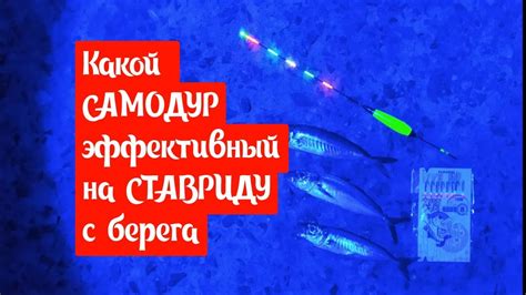 Какой самодур эффективней на СТАВРИДУ с берега. - YouTube