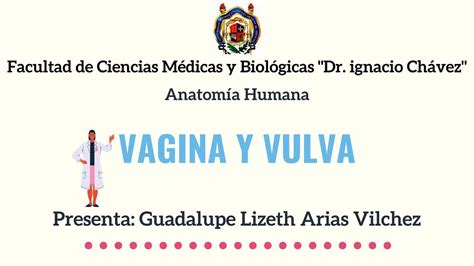Anatomía de la vagina y vulva Lizeth Arias Vilchez uDocz
