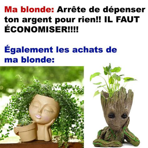 Les Plantes De Ma Blonde