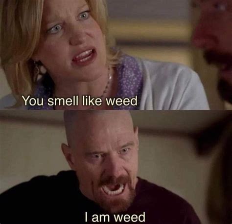 stoner meme on Tumblr