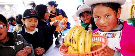 Sobrepeso Afeta Milh Es Na Am Rica Latina Instituto Humanitas Unisinos Ihu