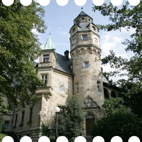 Homepage | Liebieghaus