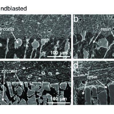 | SEM images of the bonding interfaces with resin for the Lamellar and ...