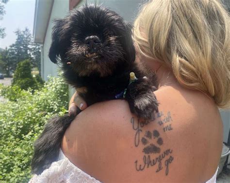 Couple Holds Last Minute Wedding At Vet So Senior Dog Can Be There