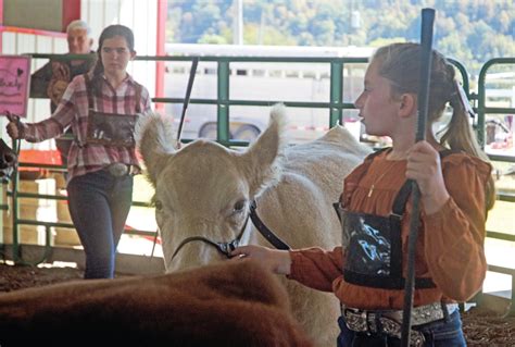 Gallery: Ring on the River - The Tribune | The Tribune