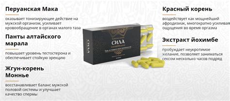 Препарат Сила Сулеймана: купить таблетки и капсулы для мужчин по ...